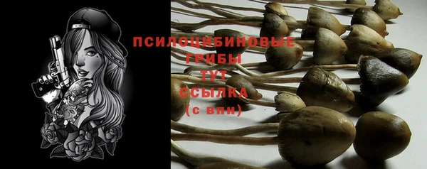 мескалин Белокуриха