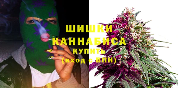 молекула духа Белоозёрский