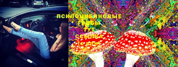 стаф Беломорск