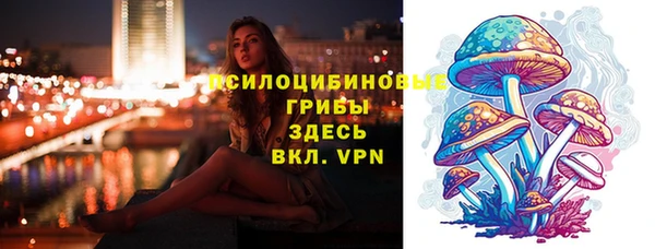 молекула духа Белоозёрский
