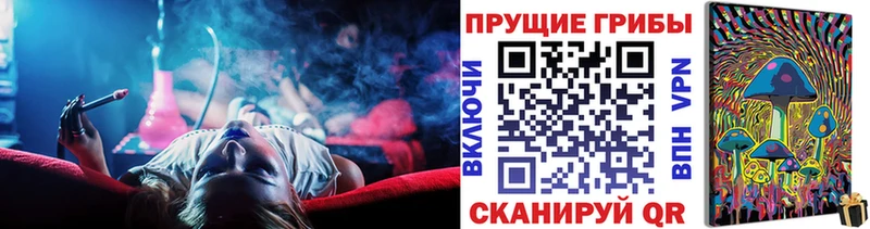 Галлюциногенные грибы Psilocybine cubensis  Великий Устюг 